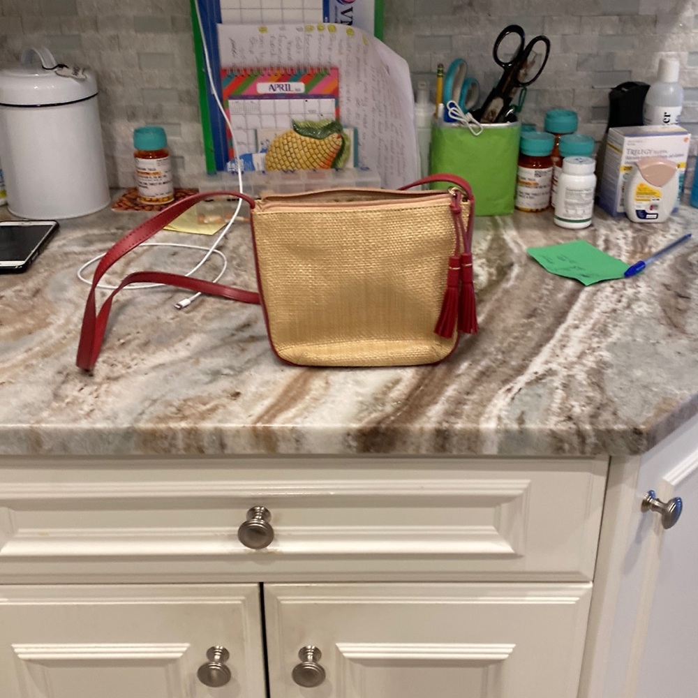 Etienne Aigner bag